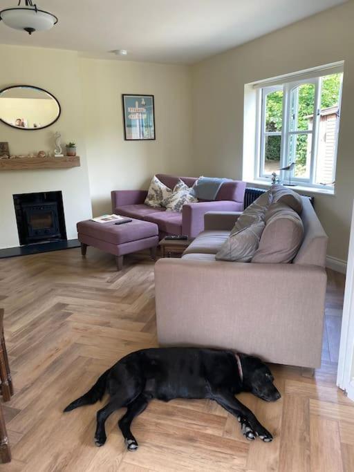 Lovely Quiet Cottage Sleeps 4 Adults, 4 Children, Dog Friendly Cley next the Sea Exterior photo